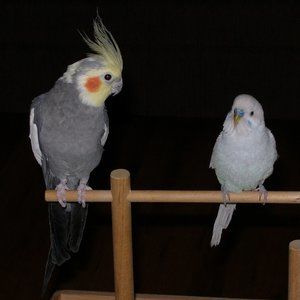 Bundle Up & Make Me An Offer...